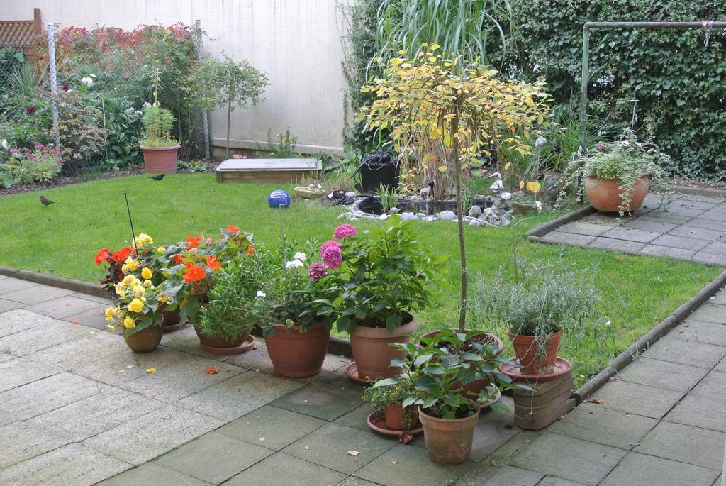 Apartmondo Ferienwohnungen Remscheid Rom bilde
